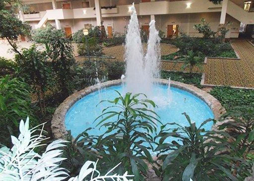 Hotel Ava Lubbock Olanaklar fotoğraf